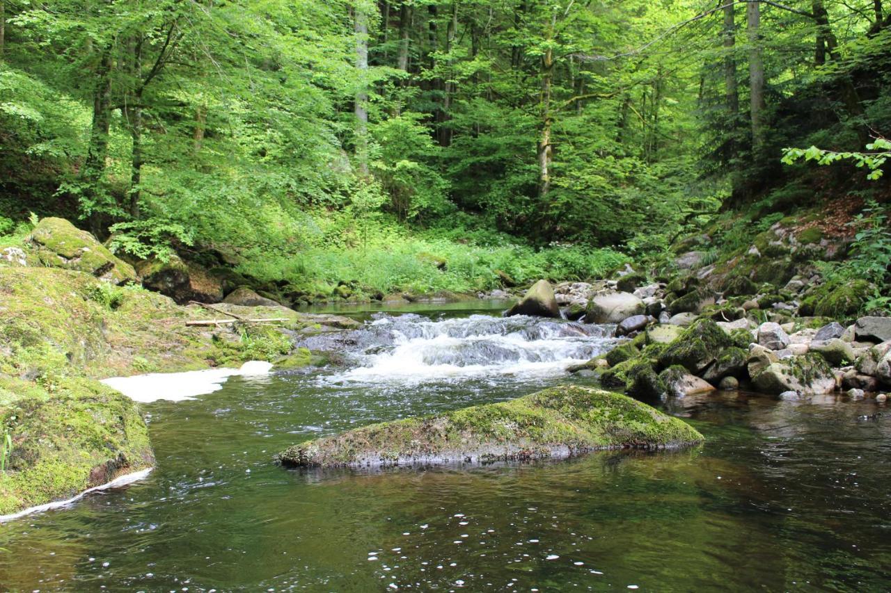 Ferienwohnung Hofleben Reiner Neukirchen vorm Wald Exteriér fotografie